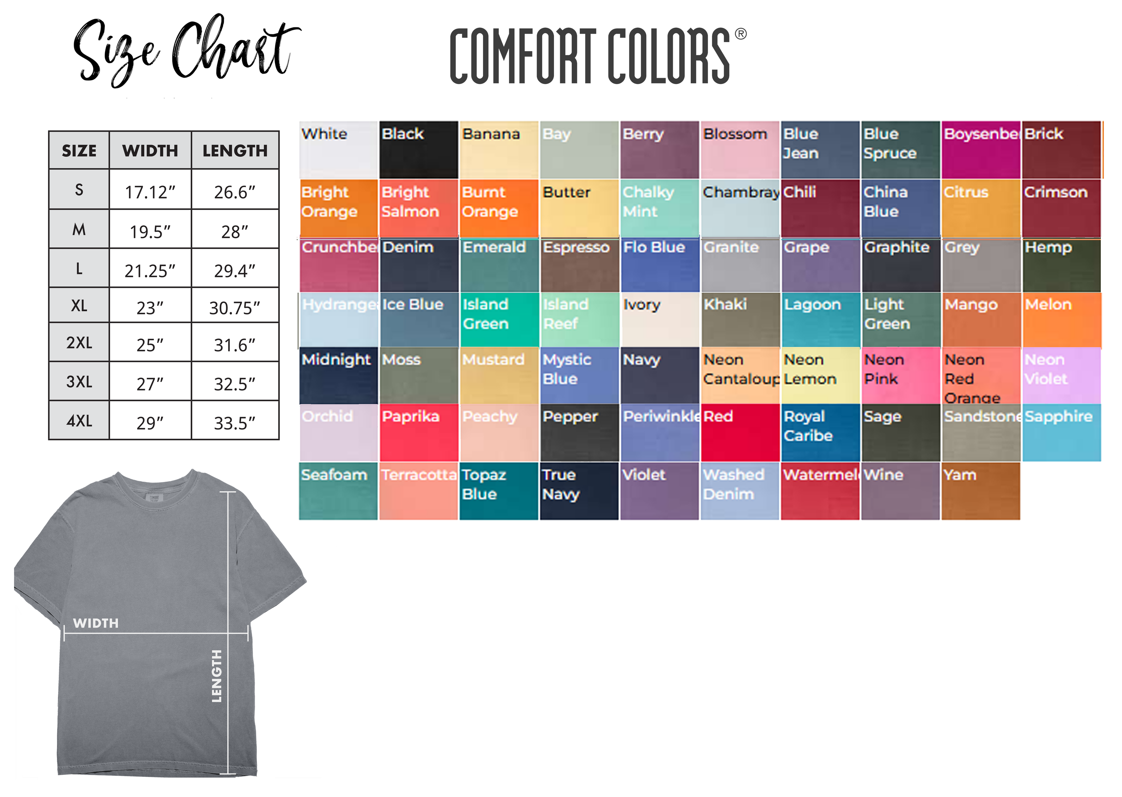 Atlanta jiu Jitsu Team T-Shirt